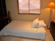 Lounge Room (Sofa Bed)